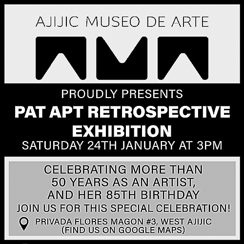 Pat Apt's Retrospective